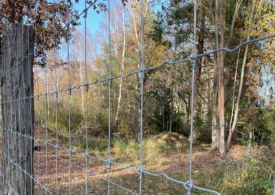 Lesnické uzlové pletivo, pozinkované, typ se silnějším drátem a spojem, uchycené na dřevěných kůlech.